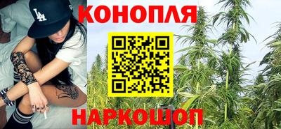 Альфа ПВП Малоярославец