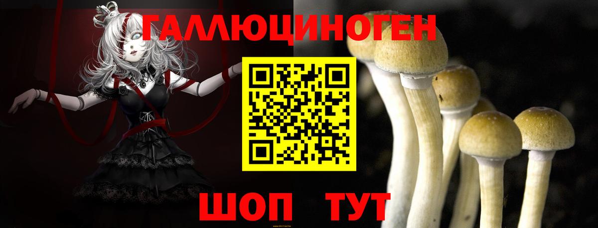 Долгопрудный  Псилоцибиновые грибы мухоморы  Вход с VPN  Псилоцибиновые грибы GOLDEN TEACHER 